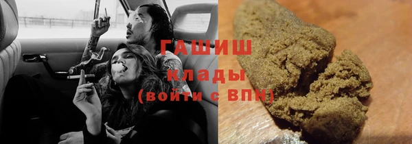 сатива Покачи
